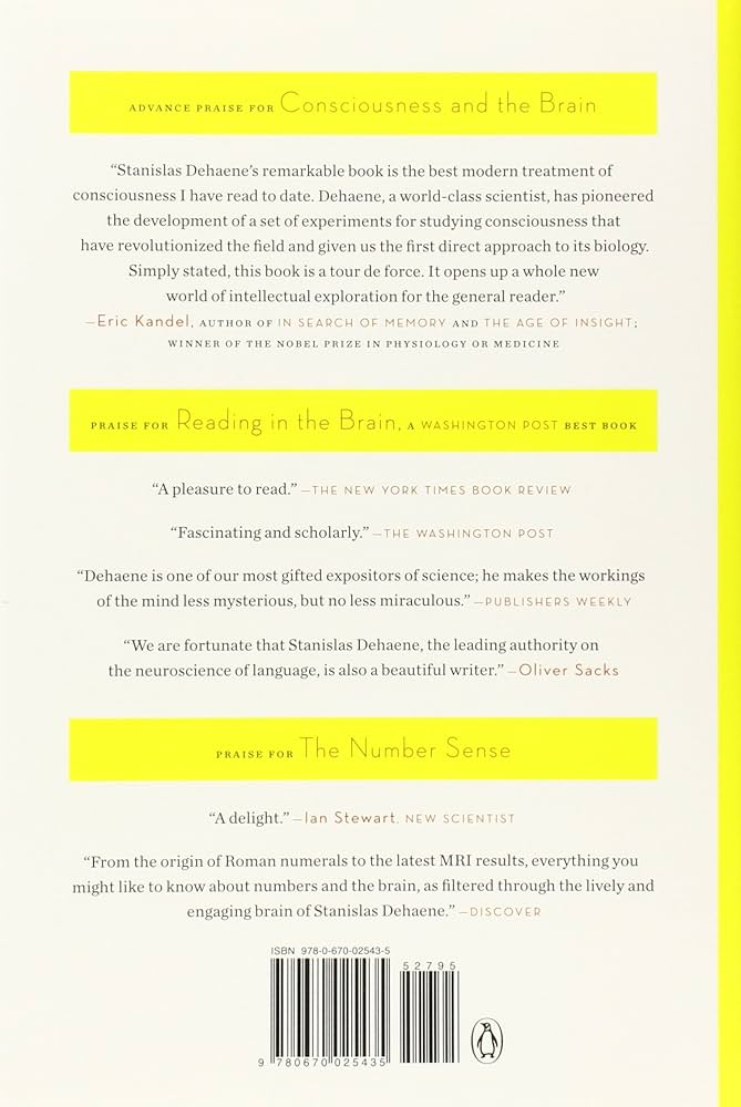 洋書 CONSCIOUSNESS BIOENERGY AND HEALING The Healing Energy of Shared Consciousness: A Taoist